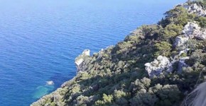 Atesli pilic, mollydiary