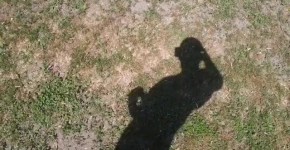My shadow in the nature, edoror