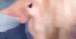 abbie maley blowjob sensual influenser, attullors