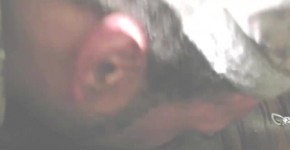 THE KING OF PUSSY EATING MR.CUNNLINGUS "CUMM PUDDLES FEAT ELECTRA SPLASH, use1sso