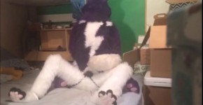 STELLA PEGGING SPARKS Furry Cosplay, ithinono