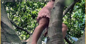 Wife climbs trees with no panties on, imenorith