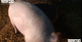 Zoo ArtOfZoo Ks Farm Sex with dogs and pigs, assworktogether