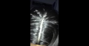 Sexy Latina Blowjob, ranging