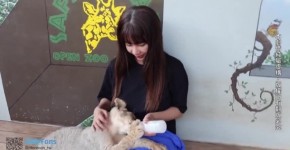 Sex Vlog In Bangkok Thailand Girl Sucks Dick, alon1danos
