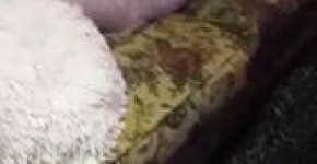 Asleep On The Big Couch Candid Booty, muportu