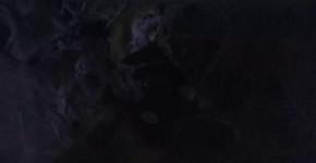Amateurs Female spider, DirtyDarius
