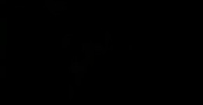 Paige vs. Emma 2, spiringcoma