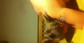 Member Savannah39 from Milfsexdating Net begged for my cock again, rosiedyer