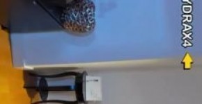 exohydrax blowjob, ofoloncour