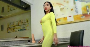 Hung Tgirl Yasmin Dornelles Dildo Fucking, anongisel