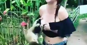 Monkey flashed girl's boobs, Ridonne
