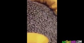 Whatsapp para el novio 7, vampdiana