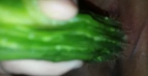 Wife Masturbating with a Cactus, goldengirlassses