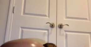 moriah mills new porn, nanentante