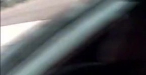 Exhibitionist girl flashing truckers, twiggydoll