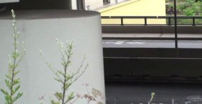 y. PUBLIC gangbang at a train station, edonea