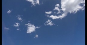 onlyfanssisi rose private flight,private slut porn hat, odrora3ere