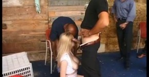 Innocent blonde gang banged in a barn by a group of horny pigs, iledile